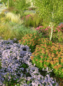 Fig.67, Rain garden